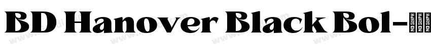 BD Hanover Black Bol字体转换